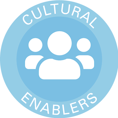 Taller Cultural Enablers